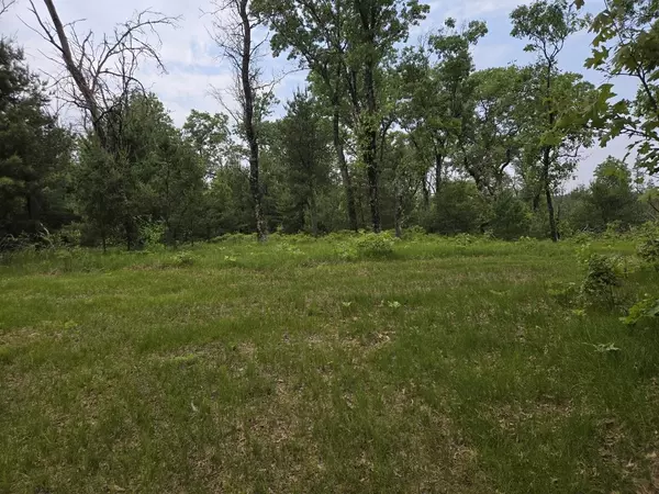 Arkdale, WI 54613,5 acres W 15th Court