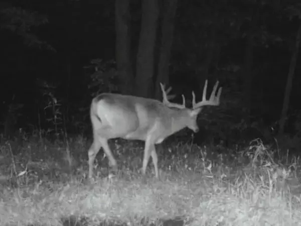 149 AC M/L County X, Soldiers Grove, WI 54655