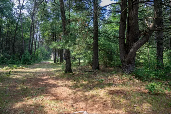 Necedah, WI 54646,N12503 County Road G