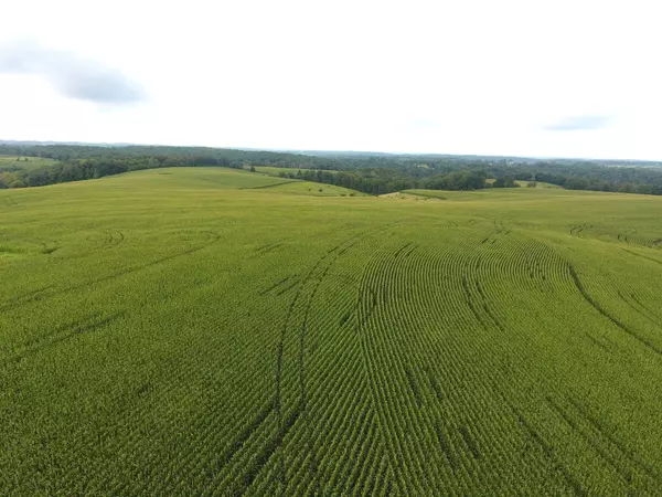 Viola, WI 54664,126.75 acres Booth Lane