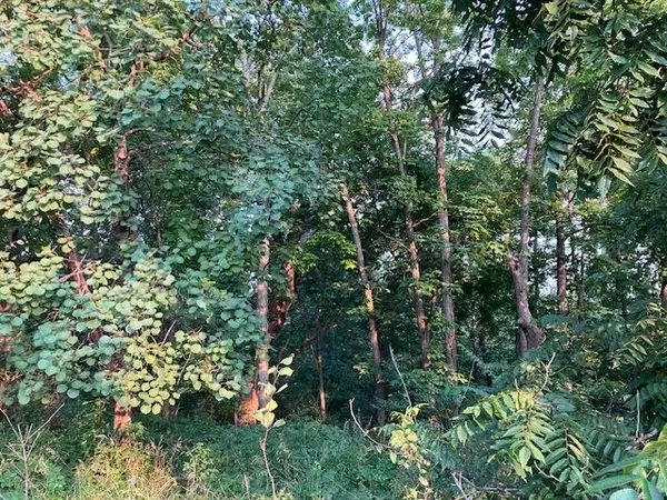 New Glarus, WI 53574,Lot 2 CSM 4904 Legler Valley Road