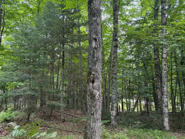 Rhinelander, WI 54501,30 acres E Oneida Lane