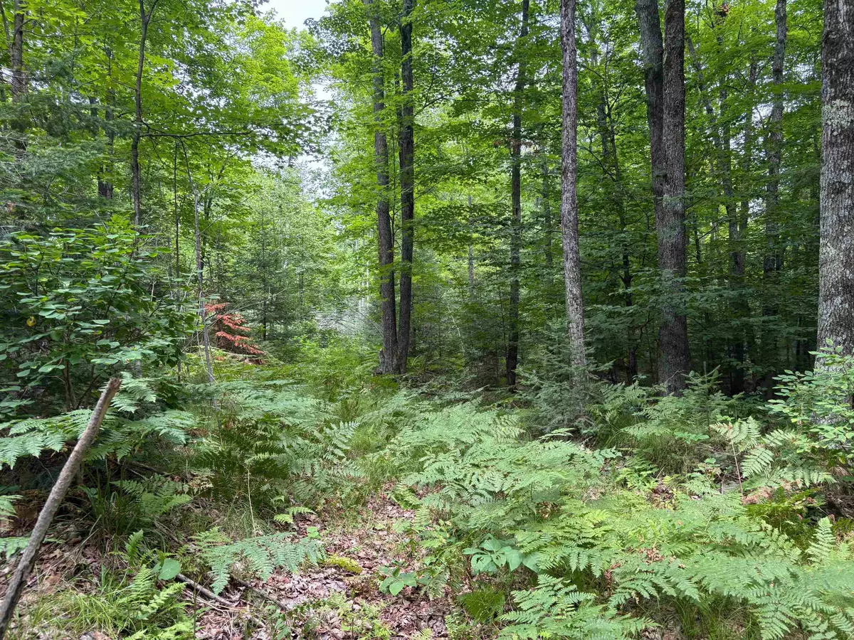 Rhinelander, WI 54501,30 acres E Oneida Lane