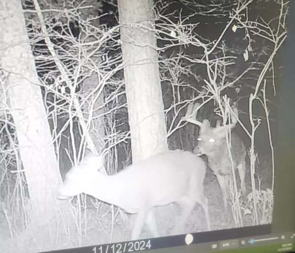 Rhinelander, WI 54501,30 acres E Oneida Lane