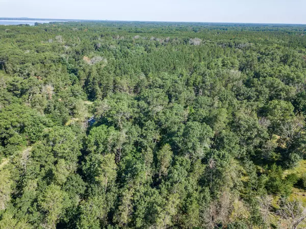 Friendship, WI 53934,.47 Ac Ravine Drive