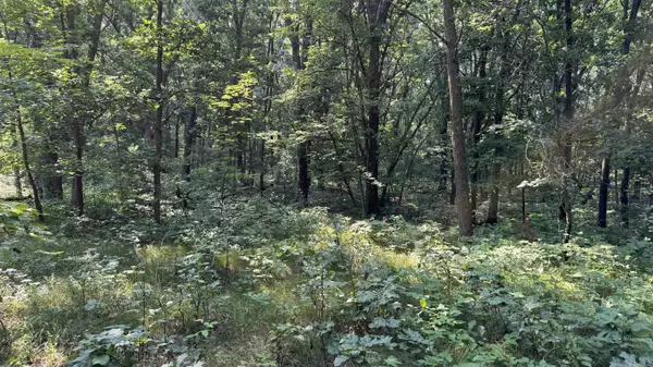 Lyndon Station, WI 53944,3.65 AC W Limits Road