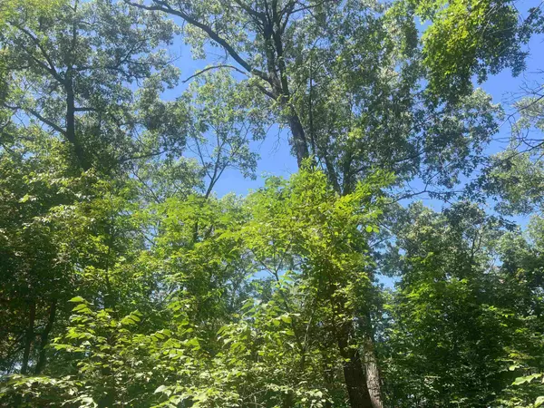 Belleville, WI 53508,Lot 1 Montrose Road