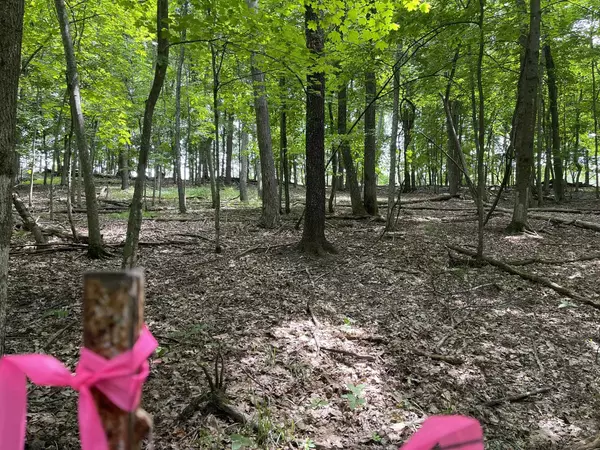 La Valle, WI 53941,Lt 148 Pine Cone Lane