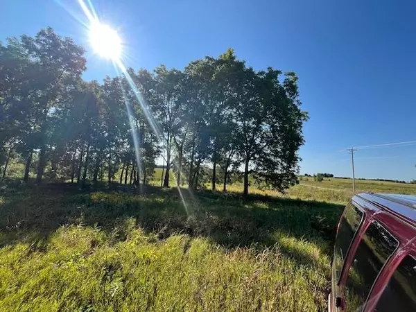 Pickett, WI 54964,18.31 Acres County M Road