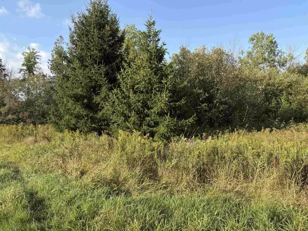 Clintonville, WI 54929,Parcel 10-30-34 Buck Road