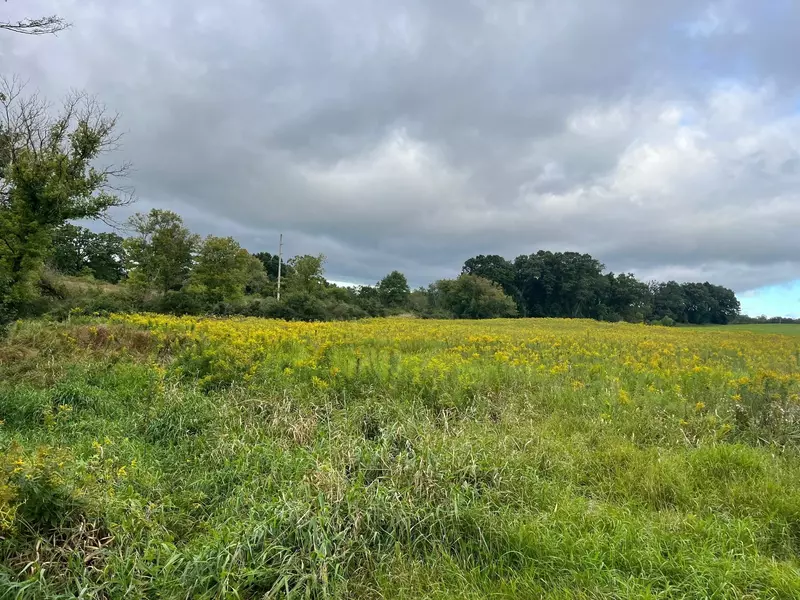 Lt 6 County Rd M, Westfield, WI 53964