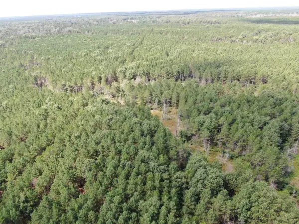 Arcadia, WI 54613,80 AC 14th Ct Acres