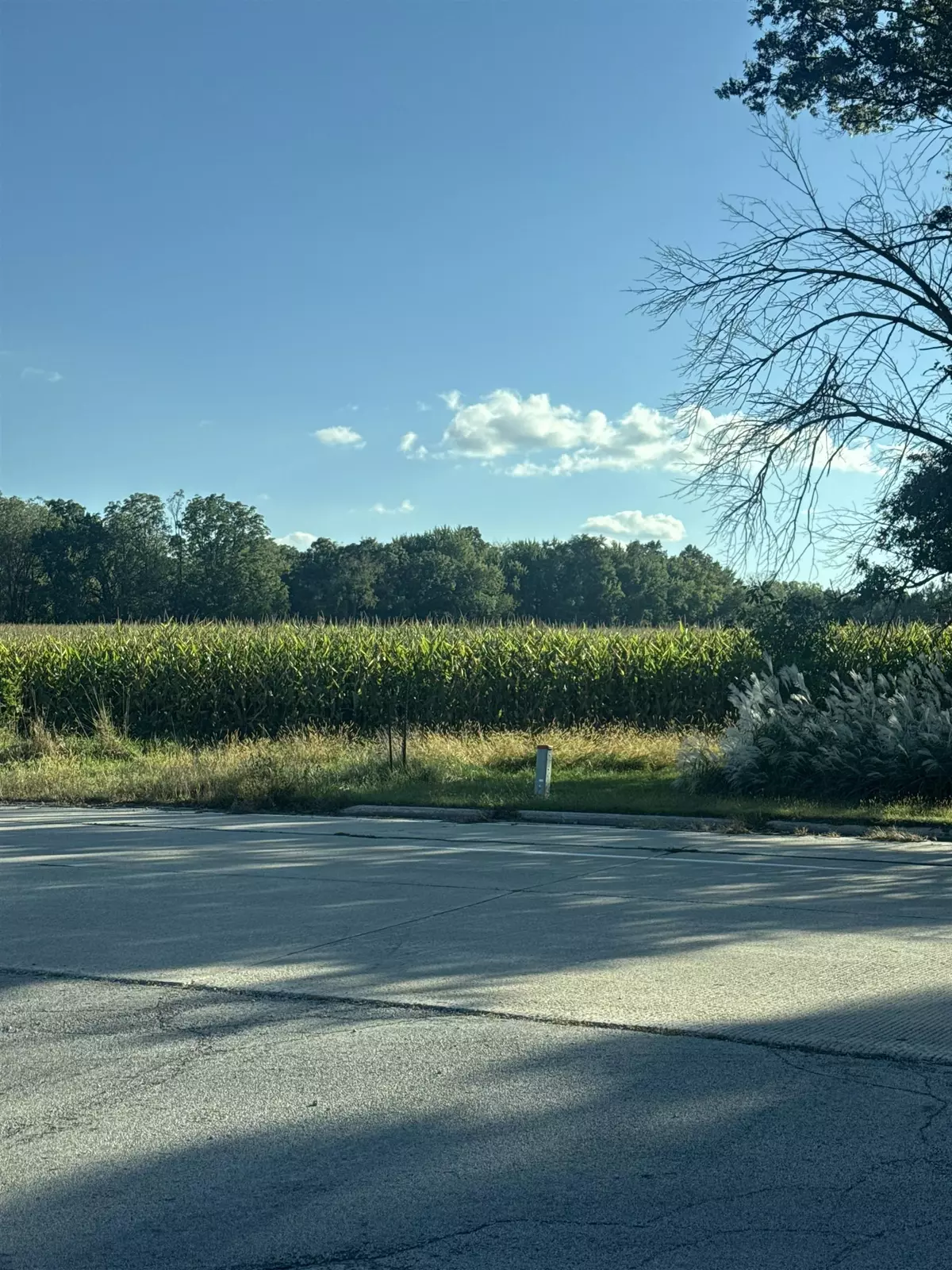 Beaver Dam, WI 53916,158 Acre Hwy 33