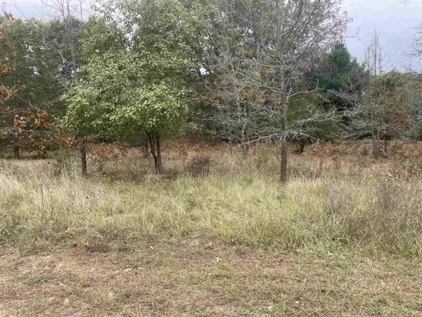 Lot 3 Sandcrest Lane, Princeton, WI 54968