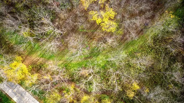 Spring Green, WI 53588,21.8+/- Acres County Road Z