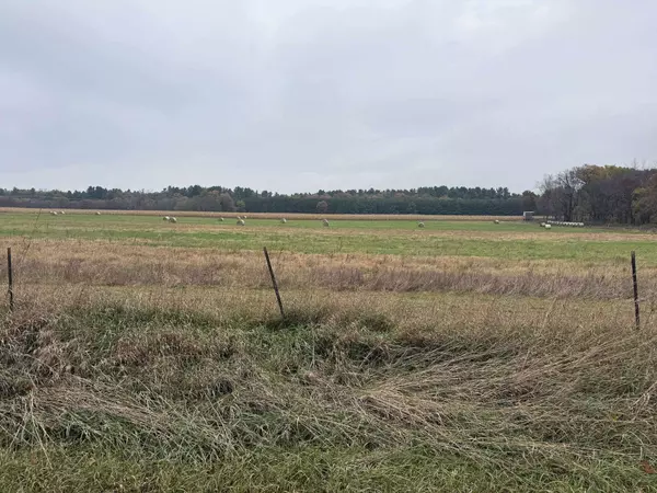 Arkdale, WI 54613,71 Acres Chicago Drive