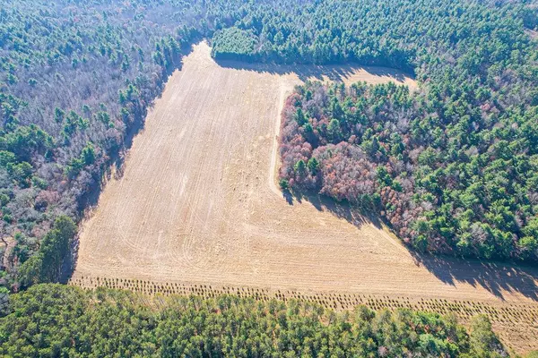 Warrens, WI 54666,1504 Atom Road