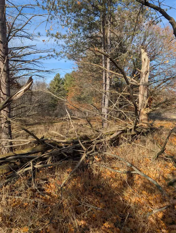 La Valle, WI 53941,L221 Black Forest Drive