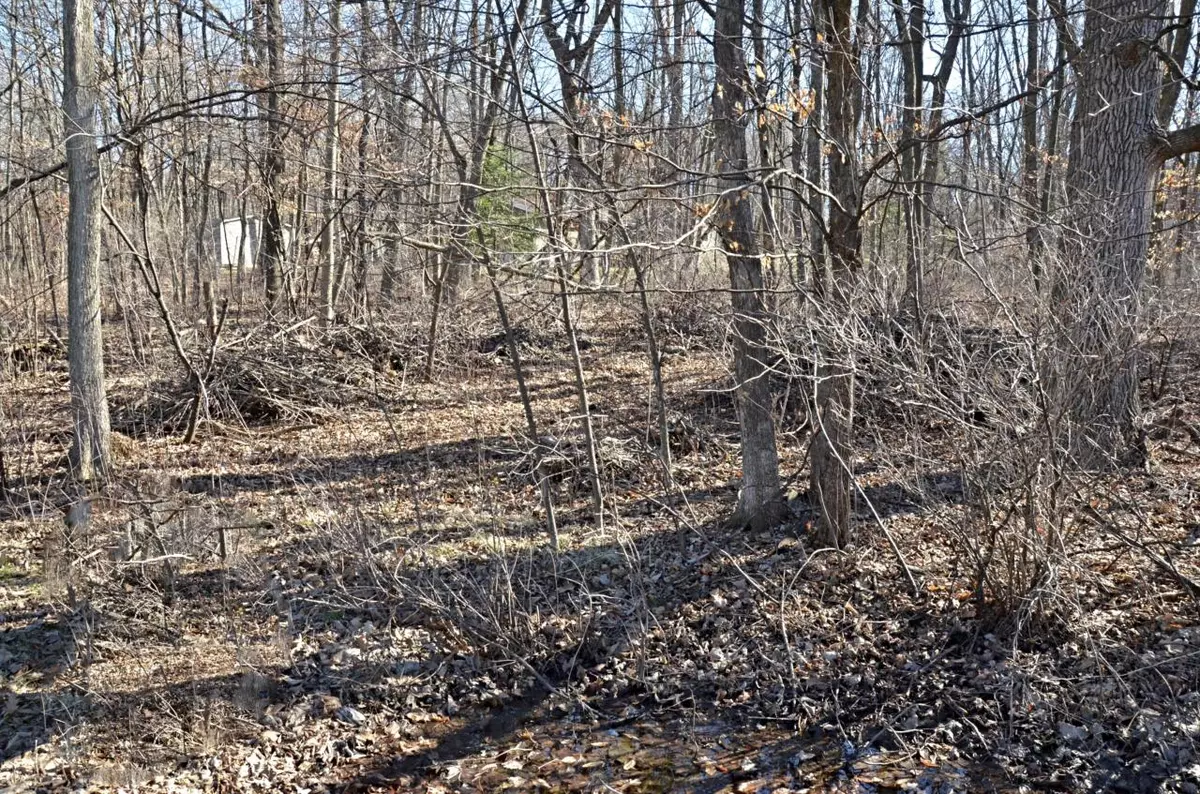 Markesan, WI 53946,Lt11 Lake Shore Dr