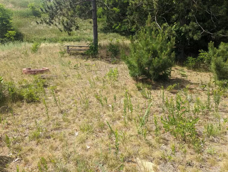 Lt218 BLOSSOM Drive, Warrens, WI 54666