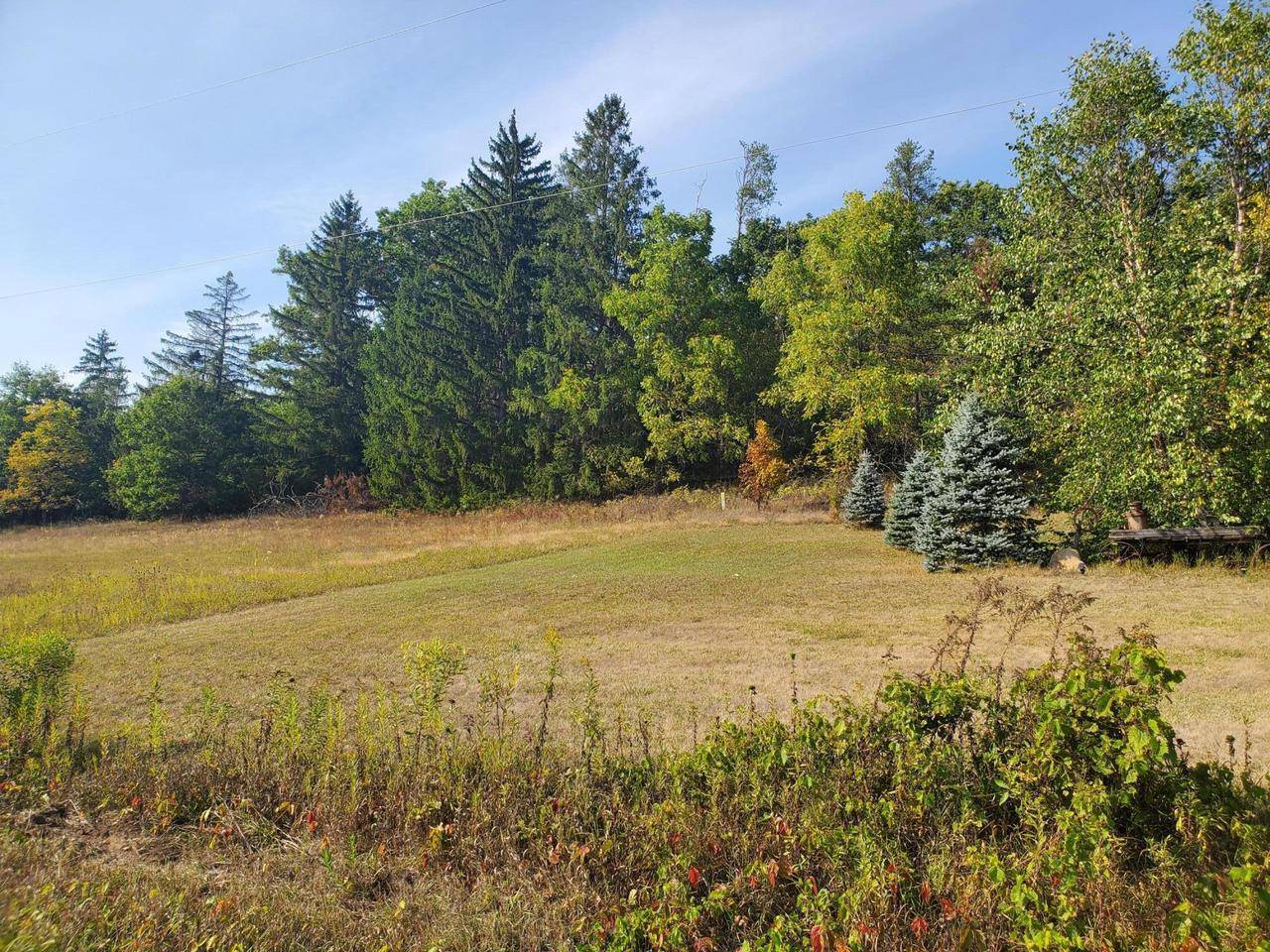 Sparta, WI 54656,0 FESTIVAL Avenue
