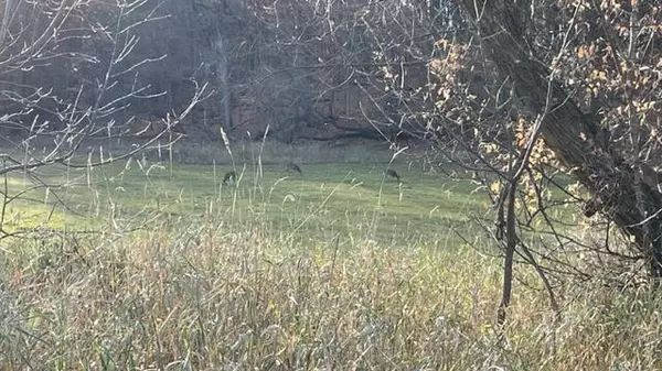 Mayville, WI 53050,305 S CLARK Street