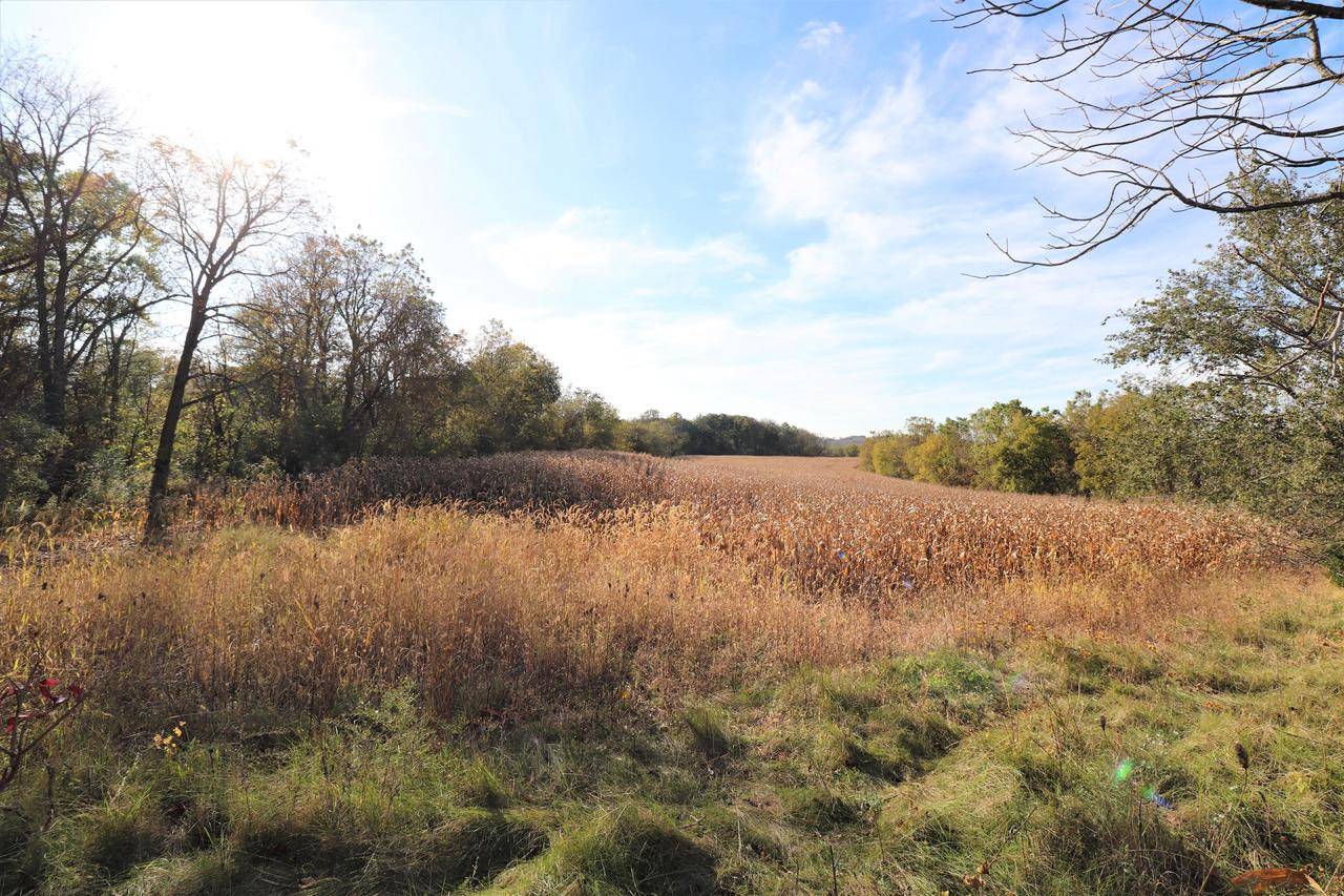 Williams Bay, WI 53191,N2461 E GENEVA Street