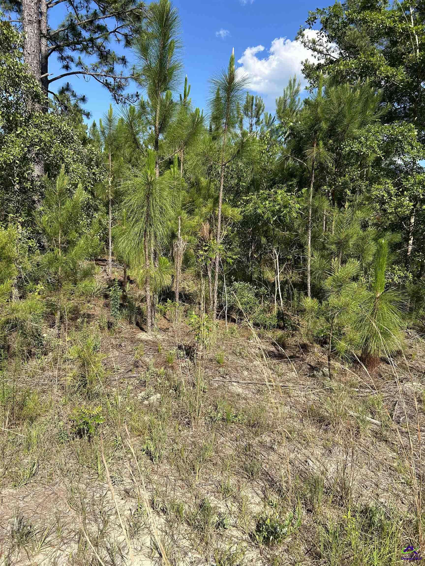 Dublin, GA 31021,Tract C Hall Road