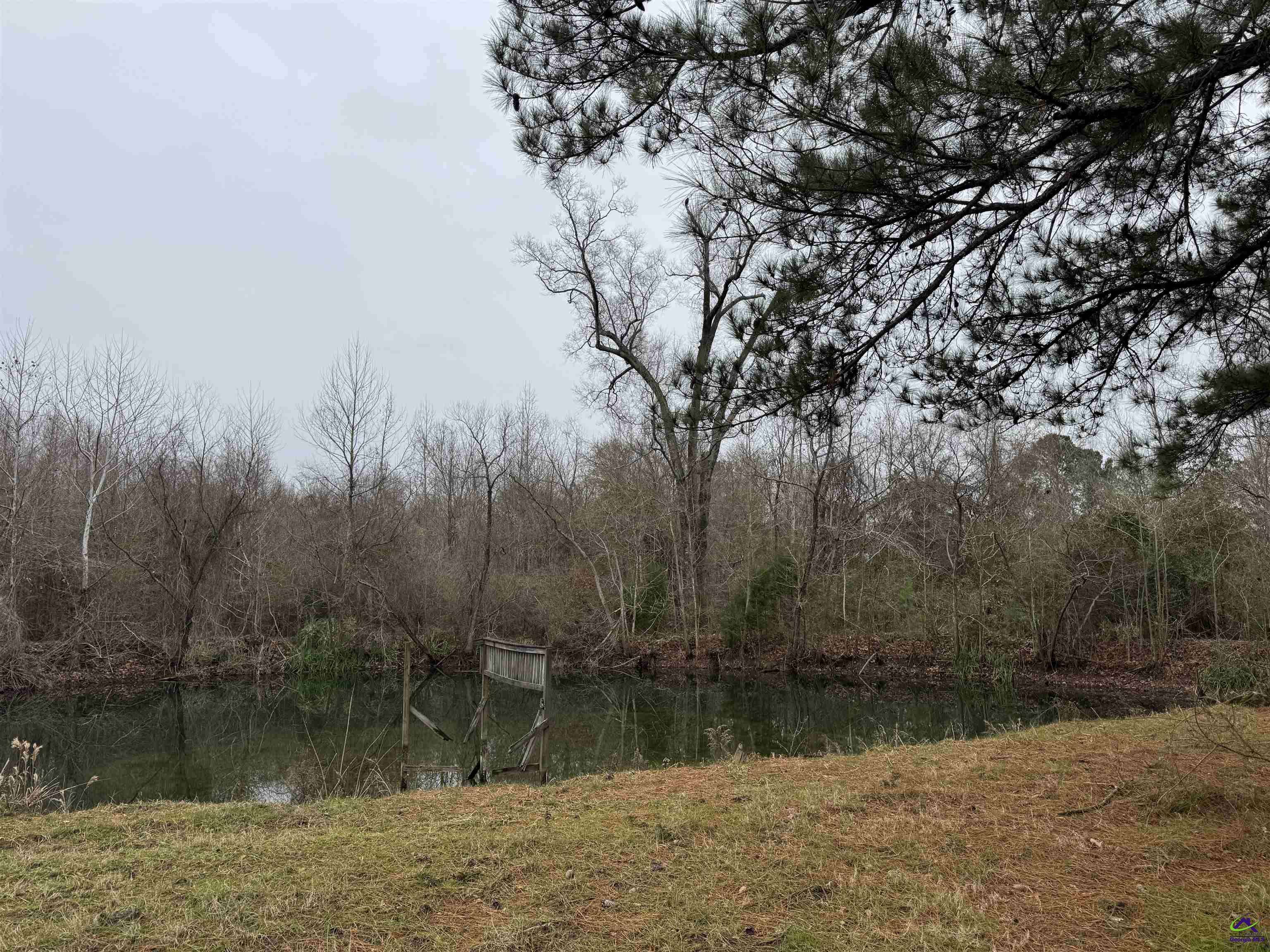 Hawkinsville, GA 31036,206 Gooseneck Lane