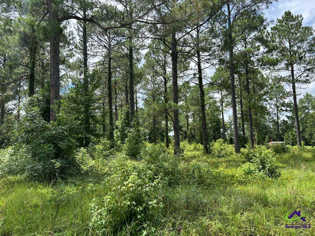 Dublin, GA 31021,0 Julianne Drive