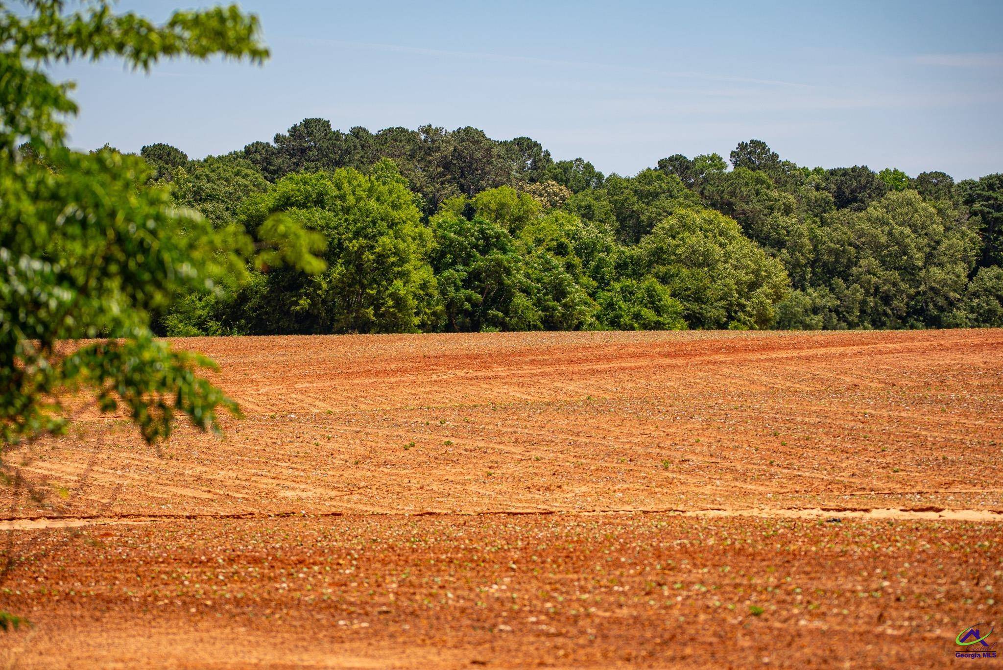 230 Highway, Pinehurst, GA 31070