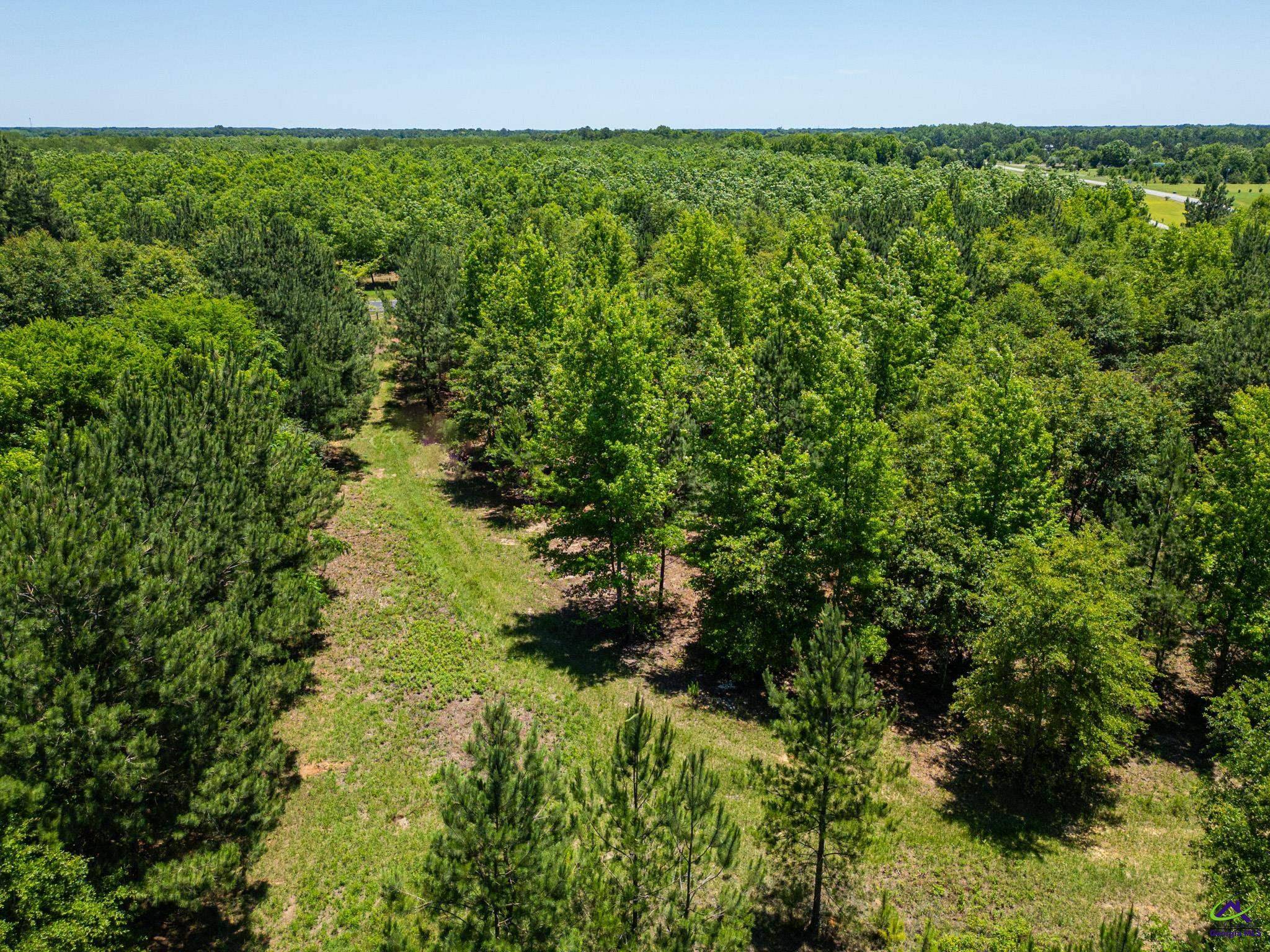 Elko, GA 31036,662 Pitts Road