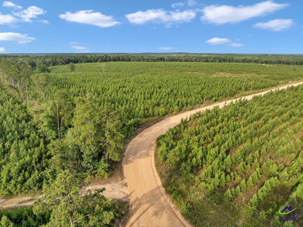 Reynolds, GA 31076,Parcel 12 Carl Rodgers Rd.