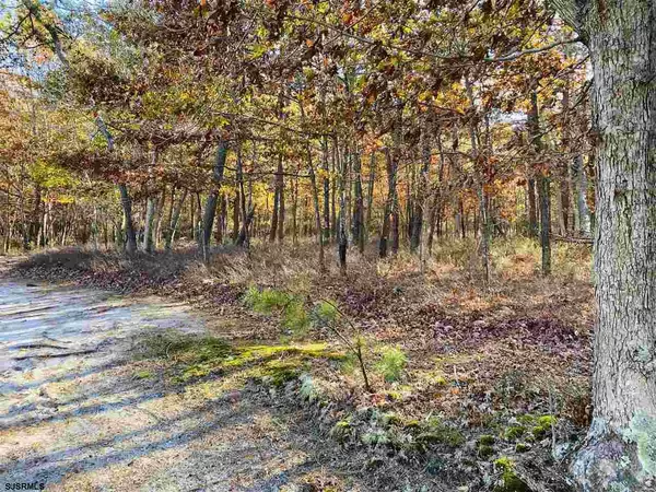 Little Egg Harbor Township, NJ 08087,402 Parkertown Dr