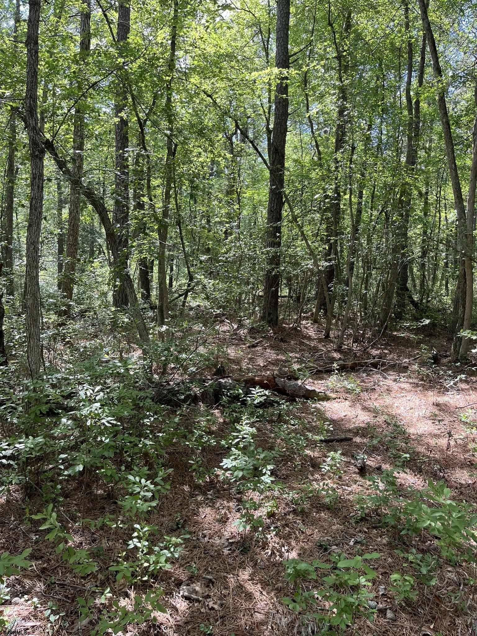 Mays Landing, NJ 08330,Hunter + Baker