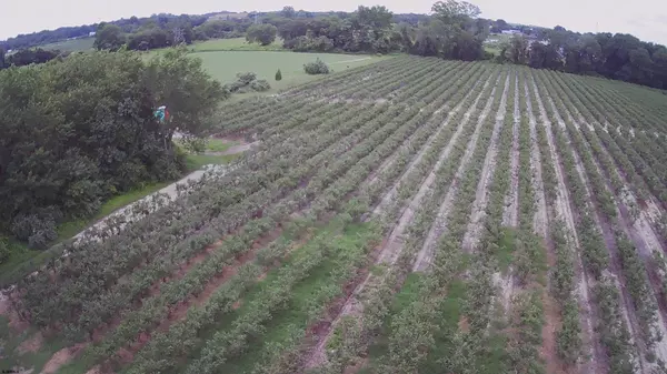 Hammonton, NJ 08037,842 13th St Ave