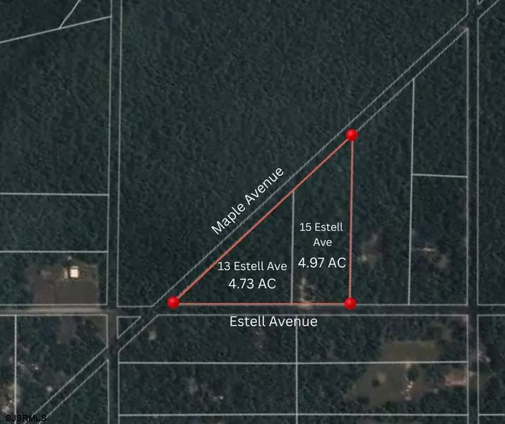 13 & 15 Estell Ave, Dorothy, NJ 08317