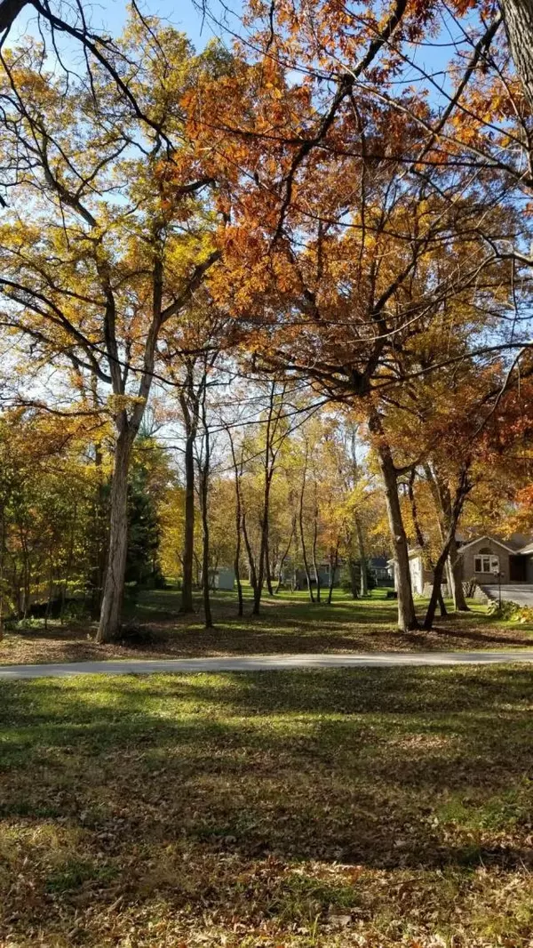 Lake Summerset, IL 61019,1999 BAINTREE