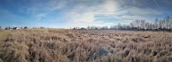 Stillman Valley, IL 61084,Longworth Close