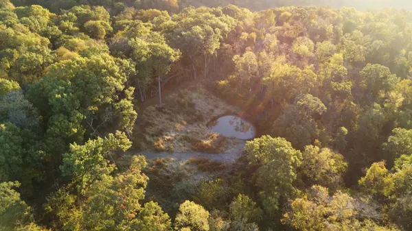 Hanover, IL 61041,78+/- Acres TBD W Blanding Road