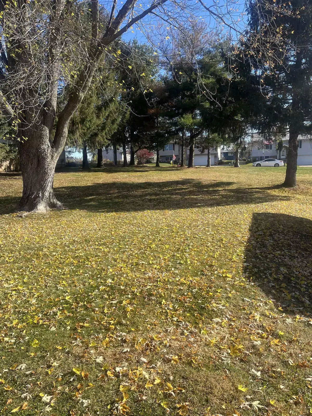 East Dubuque, IL 61025,TBD Conrad Avenue