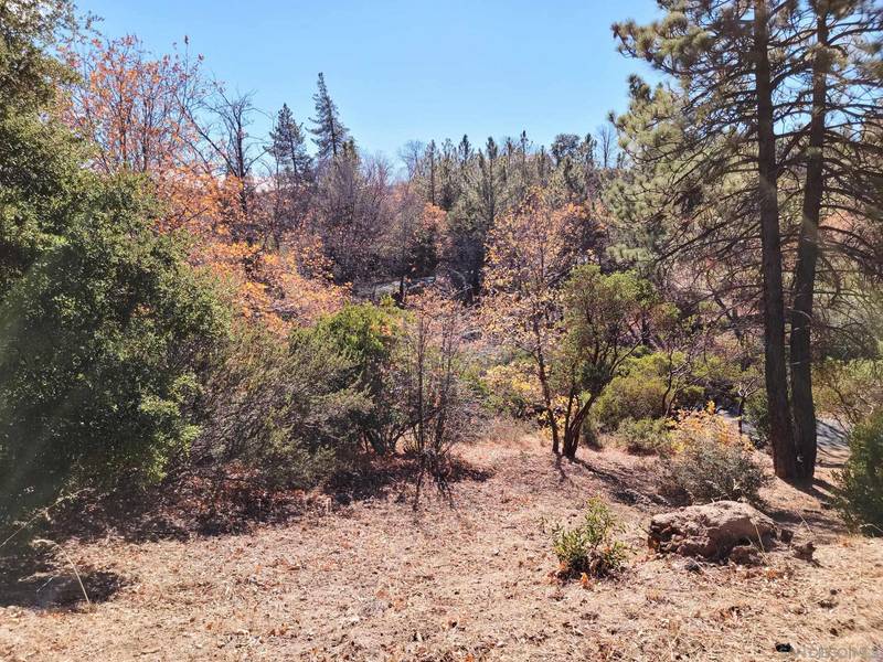 Lot 181 Whispering Pines Drive #181, Julian, CA 92036