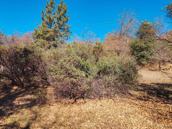 Julian, CA 92036,Lot 181 Whispering Pines Drive #181