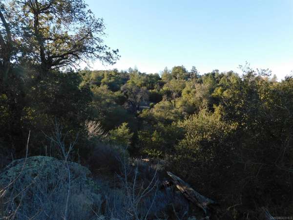 Julian, CA 92036,3523 Slumbering Oaks Trl #-