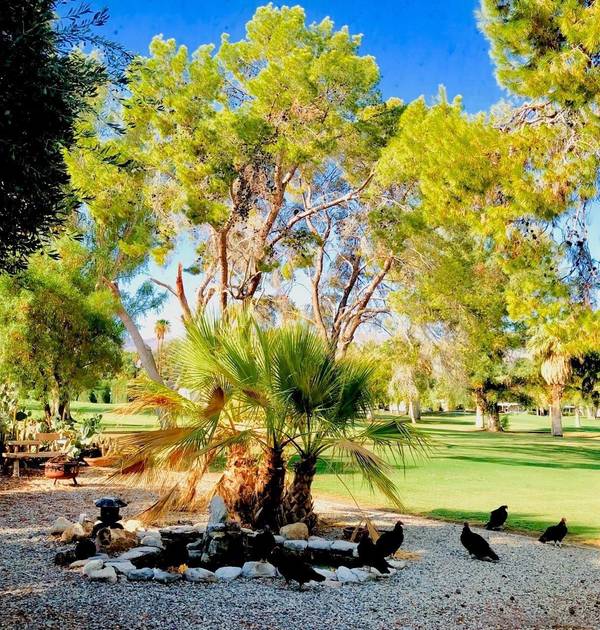 1010 Palm Canyon Dr #148, Borrego Springs, CA 92004