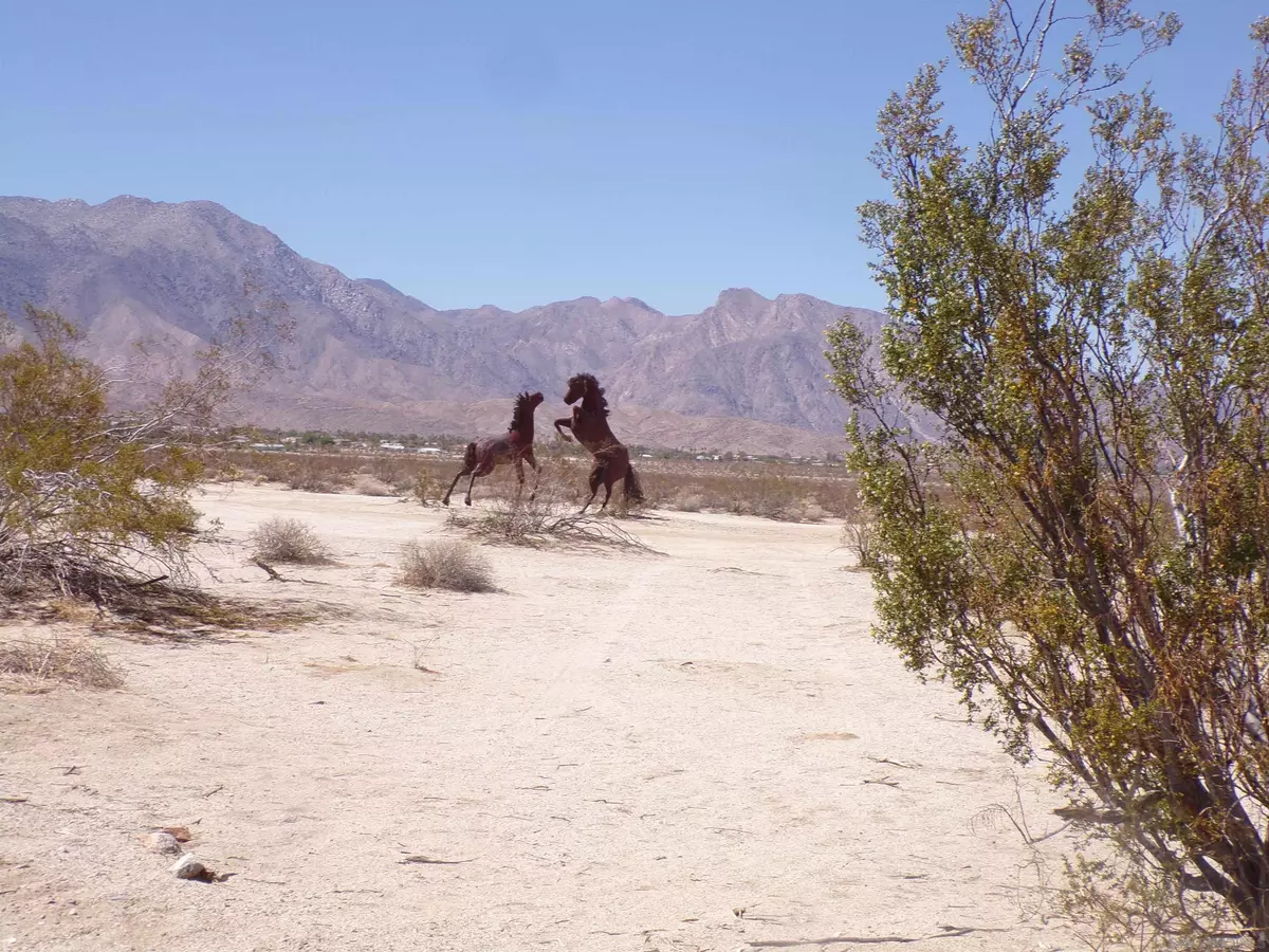 Borrego Springs, CA 92004,0 Yaqui Pass Road #3