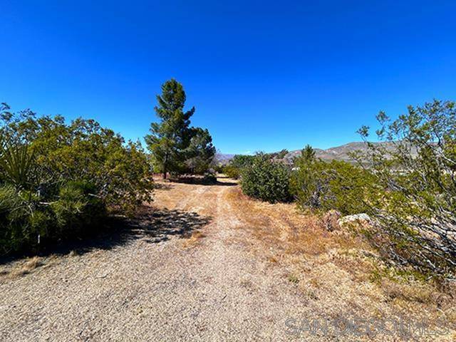 675 Lucky Devil Trail #332, Julian, CA 92036