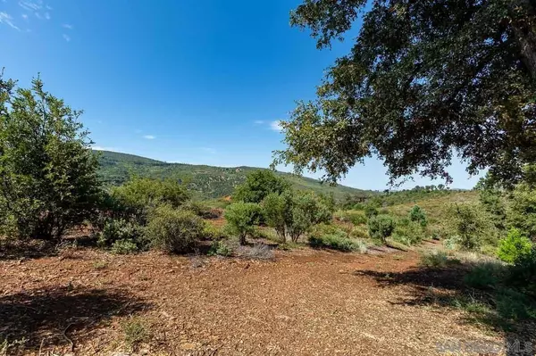 Julian, CA 92036,000 Toyon Mountain Ln. #14