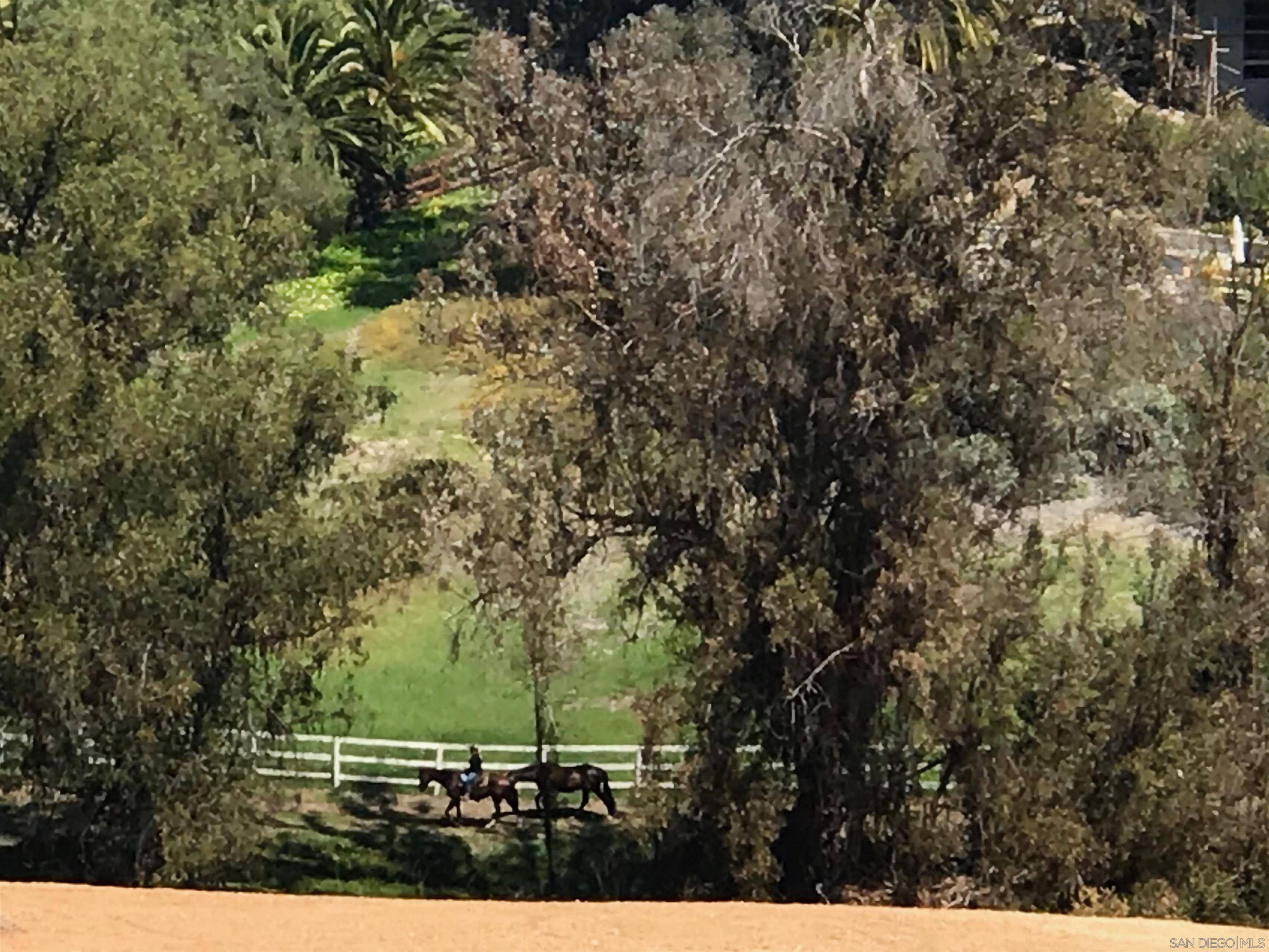 Rancho Santa Fe, CA 92067,5470 La Crescenta #6/4