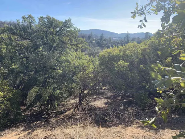 Julian, CA 92036,2708 Payson Dr #0